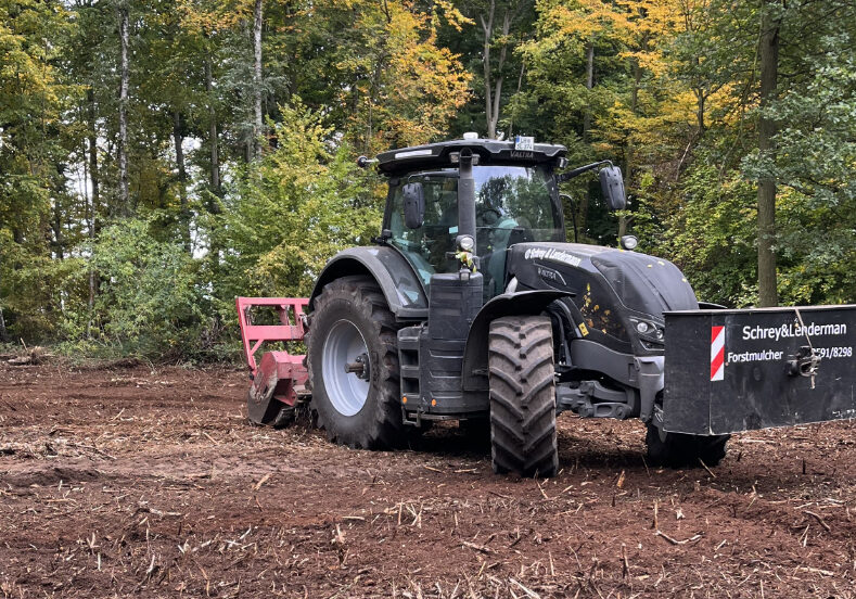 Traktor mit Forstmulcher bei der Flächenfreistellung im Wald